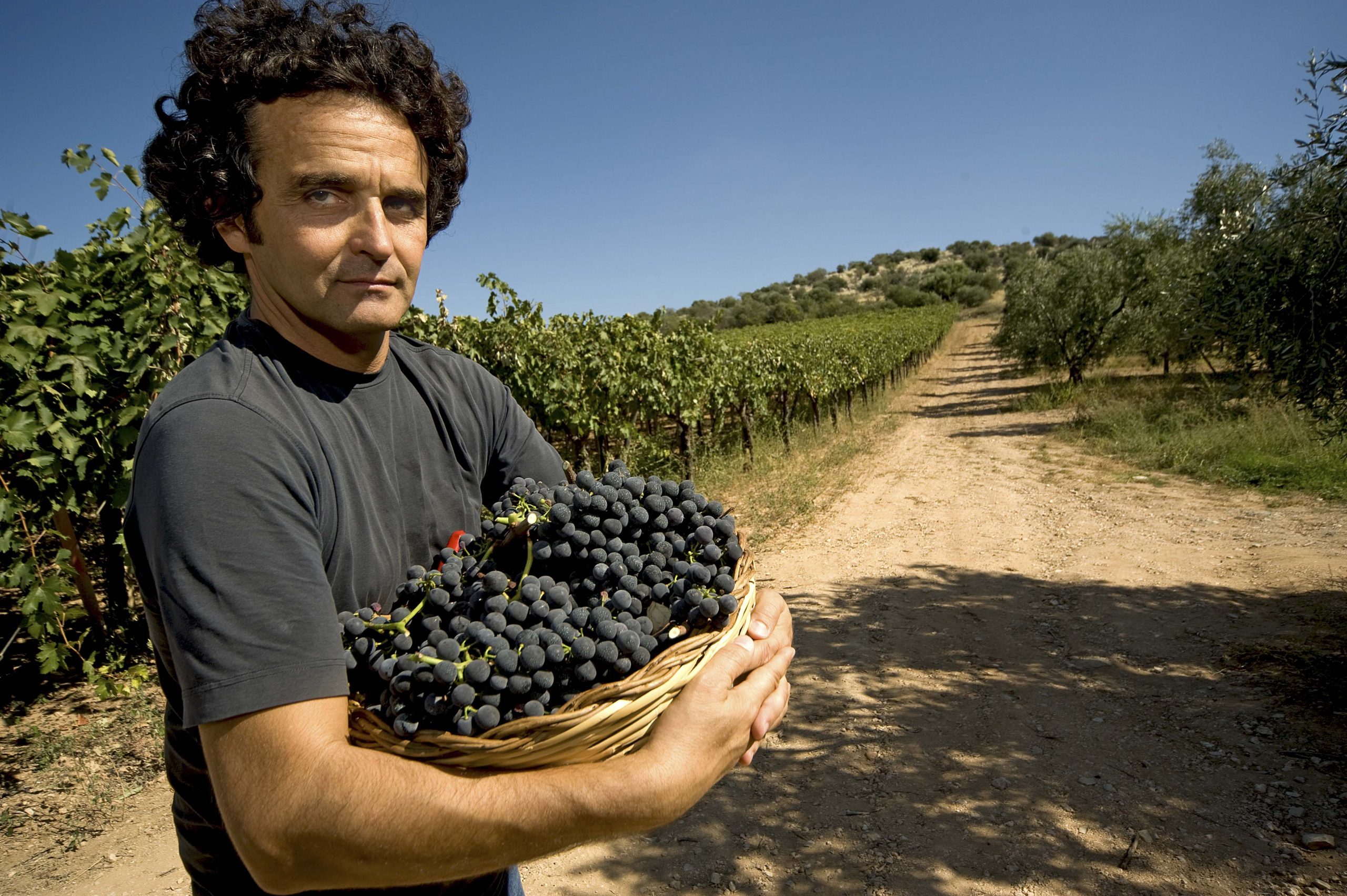 prodotti biologici masseria barbera