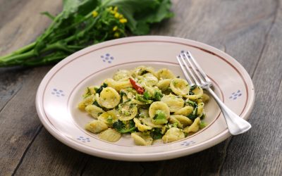 Orecchiette fatte a mano: la vera ricetta tradizionale pugliese